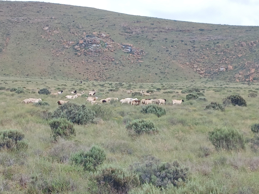 0 Bedroom Property for Sale in Richmond Rural Northern Cape